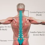 Understanding Back Spine Pain: Causes, Symptoms, and Treatment Options