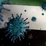 Nipah Virus – Symptoms, causes and Treatment